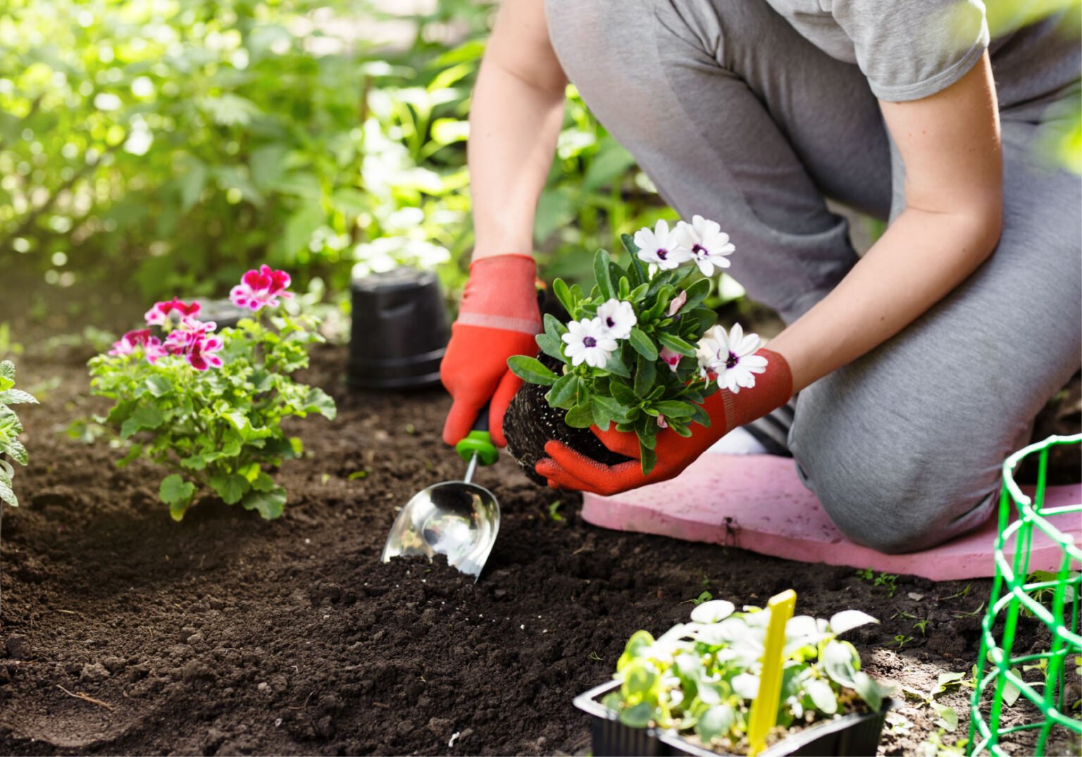 Gardening Tips for First-Time Homeowners