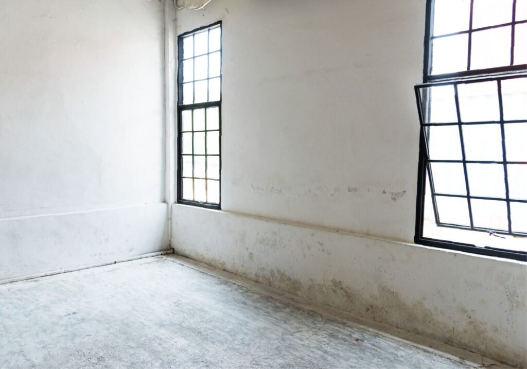 Inspector Insights: The Most Common Issues Found in Your Walls