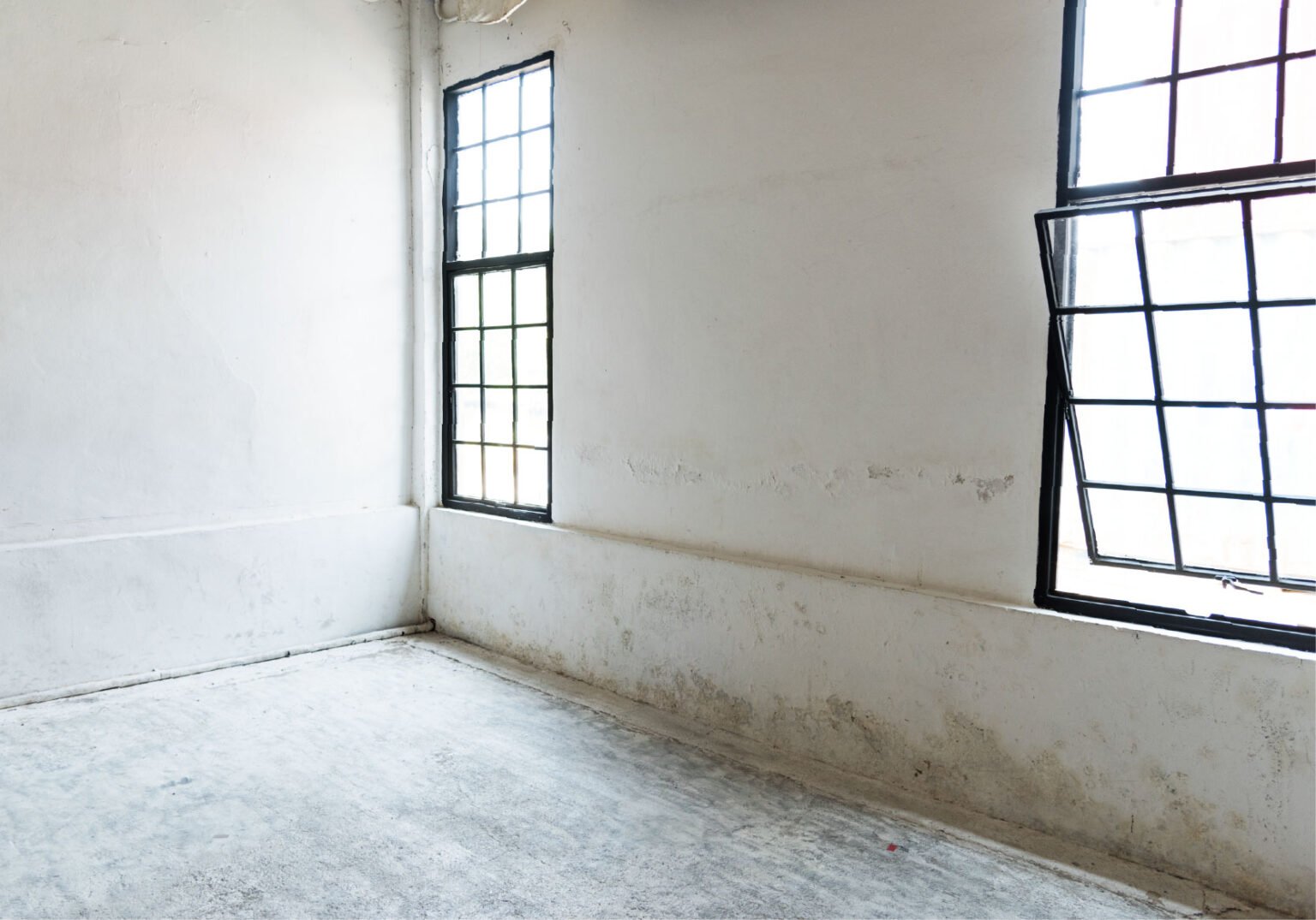 Inspector Insights: The Most Common Issues Found in Your Walls